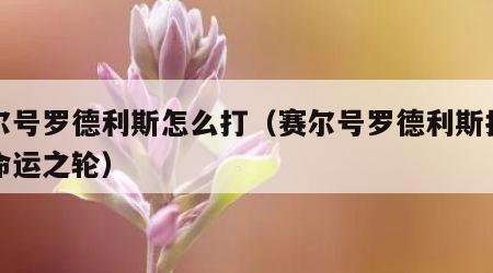 赛尔号罗德利斯怎么打（赛尔号罗德利斯打哪个命运之轮）