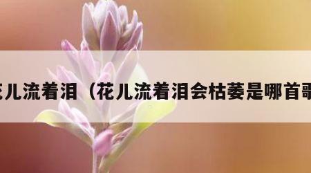 花儿流着泪（花儿流着泪会枯萎是哪首歌）