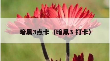 暗黑3点卡（暗黑3 打卡）