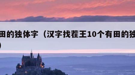 有田的独体字（汉字找茬王10个有田的独体字）