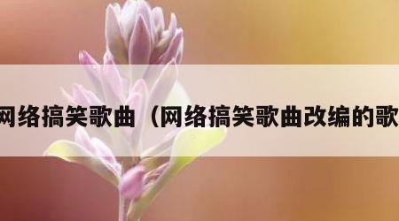 网络搞笑歌曲（网络搞笑歌曲改编的歌）