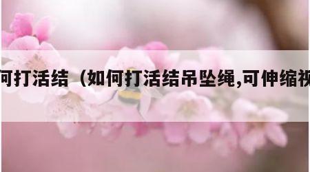 如何打活结（如何打活结吊坠绳,可伸缩视频）