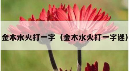 金木水火打一字（金木水火打一字迷）