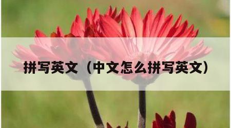 拼写英文（中文怎么拼写英文）