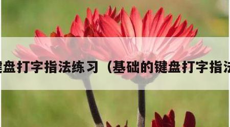 键盘打字指法练习（基础的键盘打字指法）