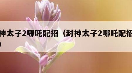 封神太子2哪吒配招（封神太子2哪吒配招视频）