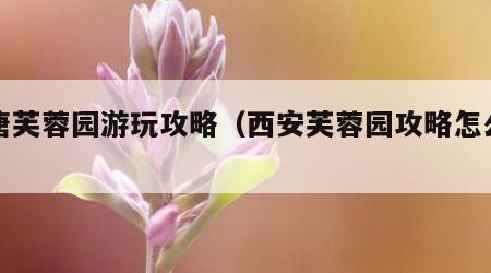 大唐芙蓉园游玩攻略（西安芙蓉园攻略怎么玩）