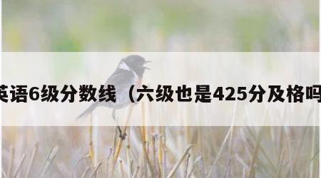 英语6级分数线（六级也是425分及格吗）