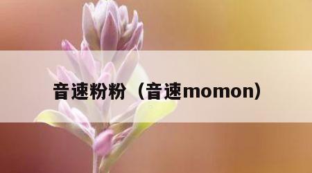 音速粉粉（音速momon）