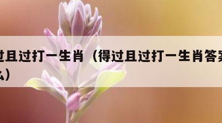 得过且过打一生肖（得过且过打一生肖答案是什么）