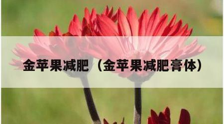 金苹果减肥（金苹果减肥膏体）