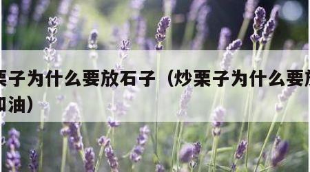 炒栗子为什么要放石子（炒栗子为什么要放石子和油）