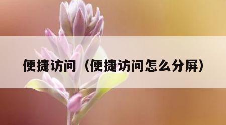 便捷访问（便捷访问怎么分屏）