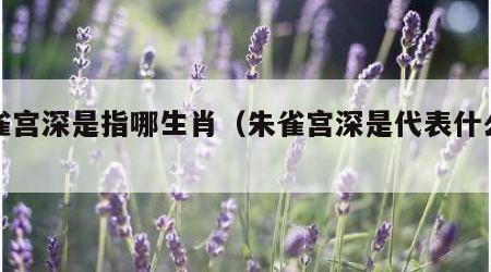 朱雀宫深是指哪生肖（朱雀宫深是代表什么生肖）