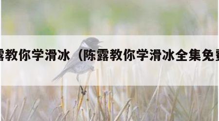 陈露教你学滑冰（陈露教你学滑冰全集免费观看）