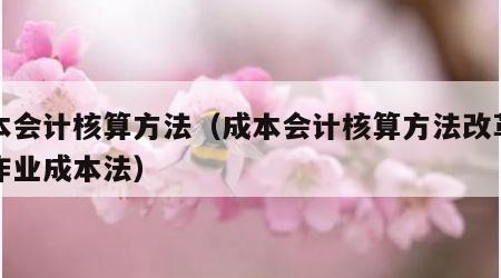 成本会计核算方法（成本会计核算方法改革方向作业成本法）