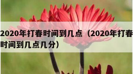 2020年打春时间到几点（2020年打春时间到几点几分）