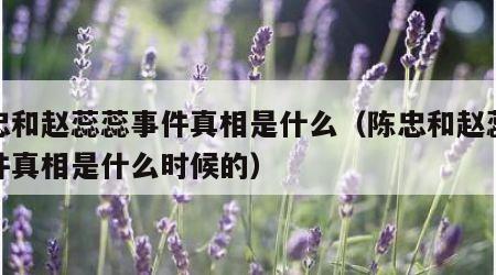 陈忠和赵蕊蕊事件真相是什么（陈忠和赵蕊蕊事件真相是什么时候的）