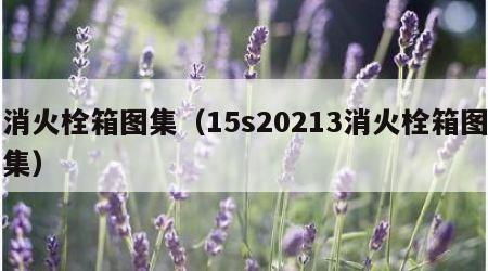 消火栓箱图集（15s20213消火栓箱图集）