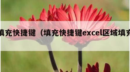 填充快捷键（填充快捷键excel区域填充）