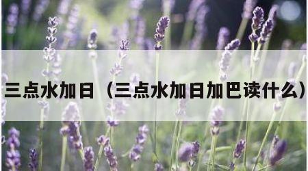 三点水加日（三点水加日加巴读什么）