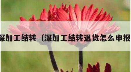 深加工结转（深加工结转退货怎么申报）