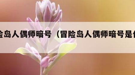 冒险岛人偶师暗号（冒险岛人偶师暗号是什么）