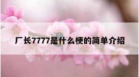 厂长7777是什么梗的简单介绍