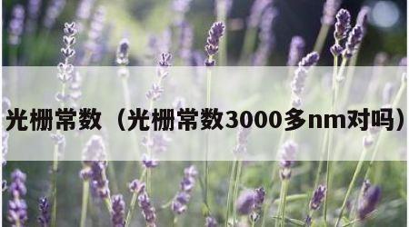 光栅常数（光栅常数3000多nm对吗）