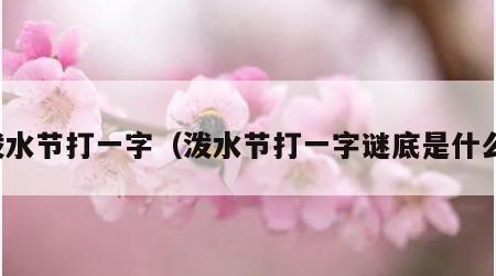 泼水节打一字（泼水节打一字谜底是什么）