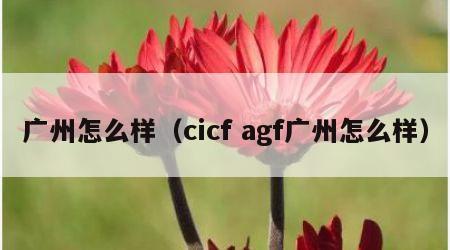 广州怎么样（cicf agf广州怎么样）