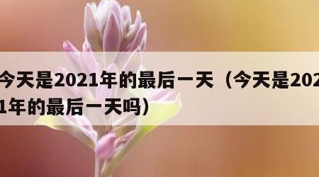 今天是2021年的最后一天（今天是2021年的最后一天吗）