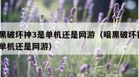 暗黑破坏神3是单机还是网游（暗黑破坏神3是单机还是网游）