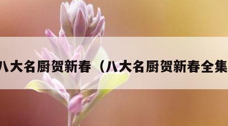 八大名厨贺新春（八大名厨贺新春全集）