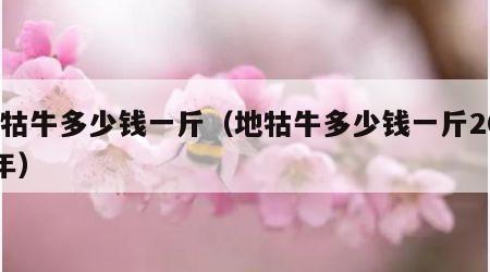 地牯牛多少钱一斤（地牯牛多少钱一斤2023年）