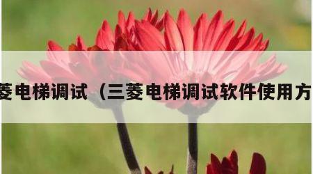 三菱电梯调试（三菱电梯调试软件使用方法）