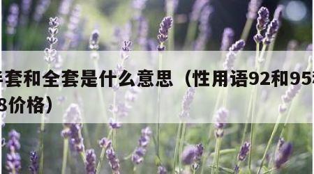 半套和全套是什么意思（性用语92和95和98价格）