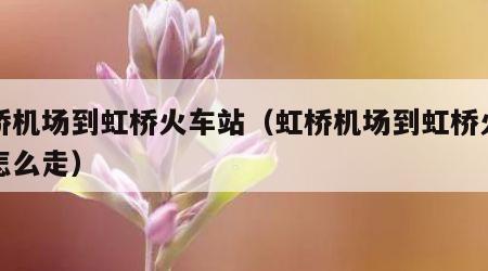 虹桥机场到虹桥火车站（虹桥机场到虹桥火车站怎么走）