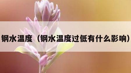 钢水温度（钢水温度过低有什么影响）