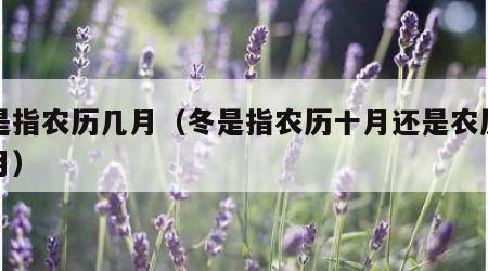 冬是指农历几月（冬是指农历十月还是农历十一月）