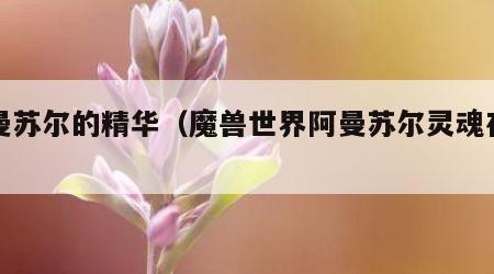 阿曼苏尔的精华（魔兽世界阿曼苏尔灵魂在哪）