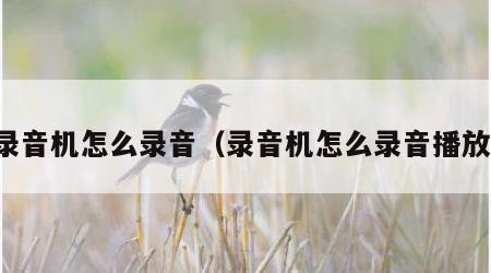 录音机怎么录音（录音机怎么录音播放）