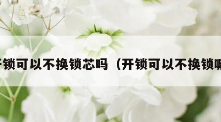 开锁可以不换锁芯吗（开锁可以不换锁嘛）