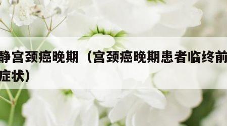 任静宫颈癌晚期（宫颈癌晚期患者临终前15个症状）