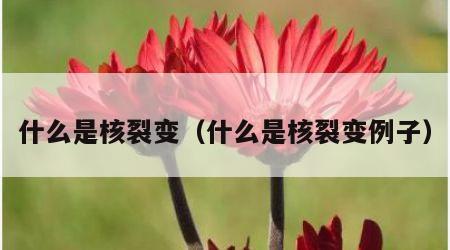 什么是核裂变（什么是核裂变例子）