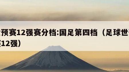 世预赛12强赛分档:国足第四档（足球世预赛12强）