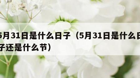 5月31日是什么日子（5月31日是什么日子还是什么节）