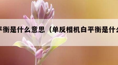 白平衡是什么意思（单反相机白平衡是什么意思）