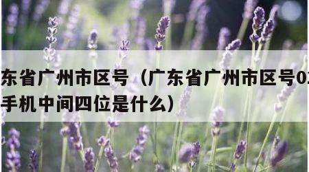 广东省广州市区号（广东省广州市区号020那手机中间四位是什么）