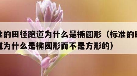 标准的田径跑道为什么是椭圆形（标准的田径跑道为什么是椭圆形而不是方形的）